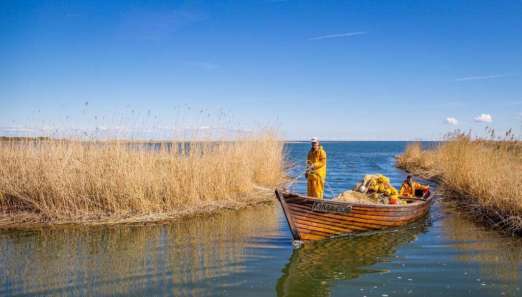 Kassariotsa Holiday House Zewnętrze zdjęcie